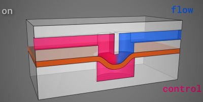 A transistor or valve using a silicone membrane. (Credit: soiboi soft, YouTube)